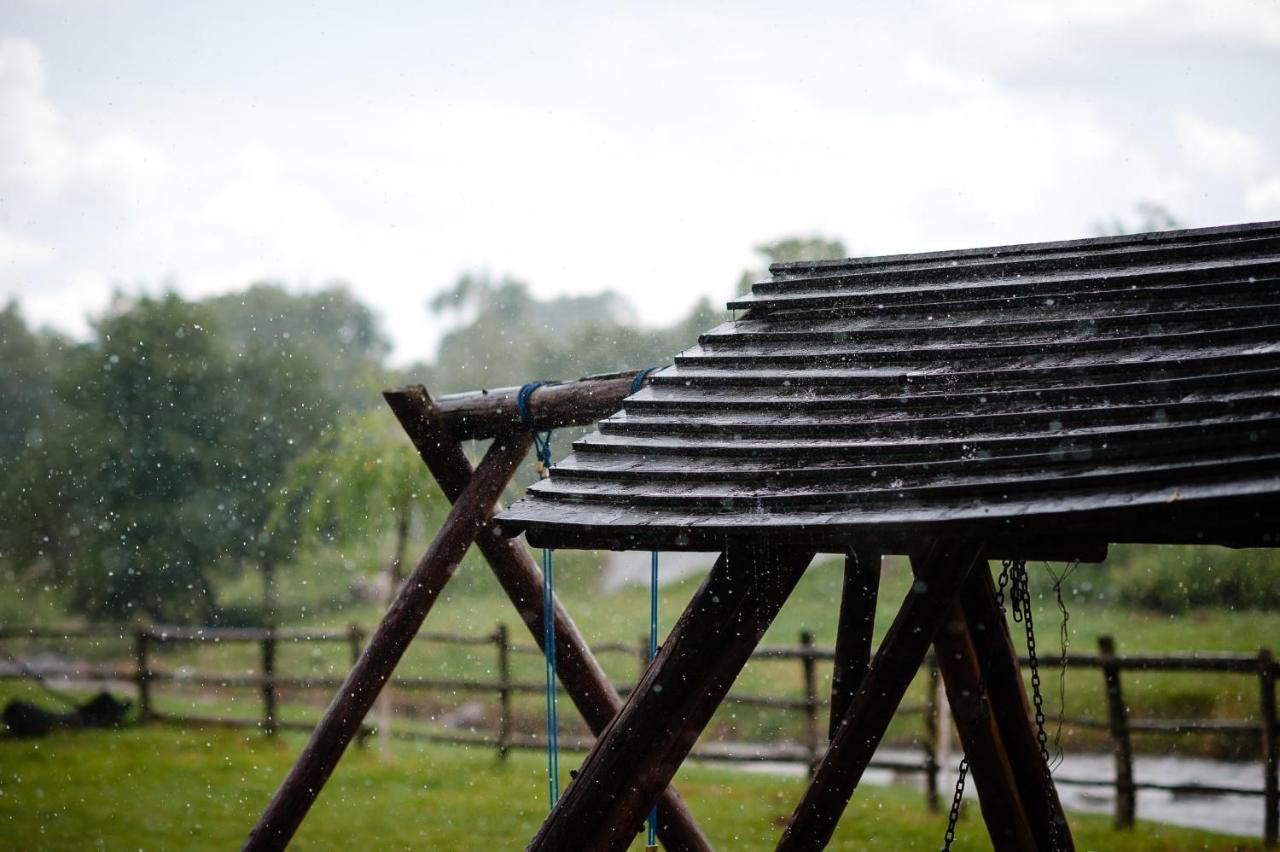 Pensiunea Trei Ponei Corbeni Exterior foto