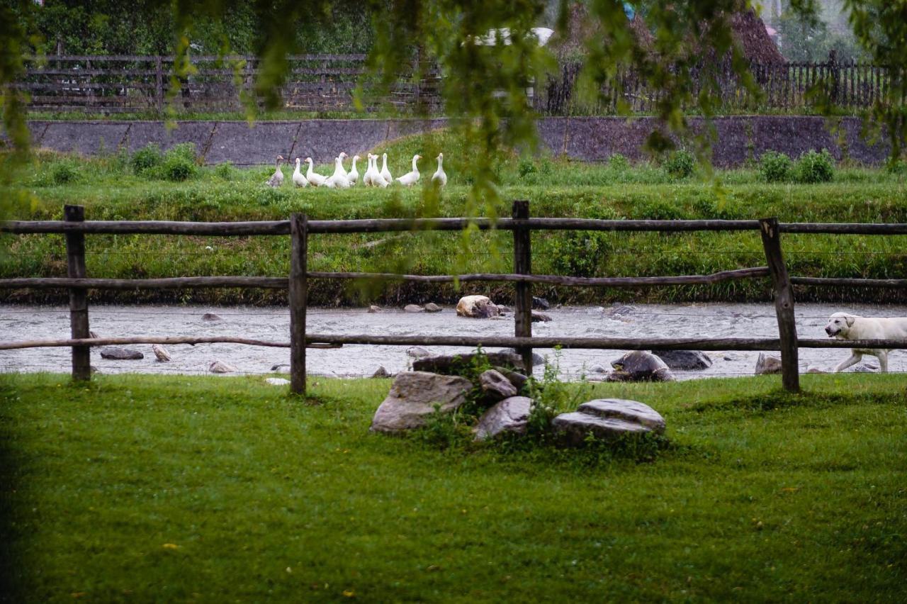 Pensiunea Trei Ponei Corbeni Exterior foto
