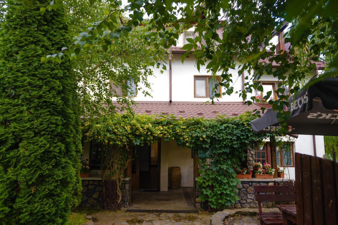Pensiunea Trei Ponei Corbeni Exterior foto