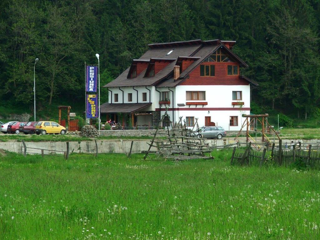 Pensiunea Trei Ponei Corbeni Exterior foto