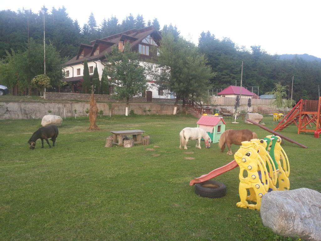 Pensiunea Trei Ponei Corbeni Exterior foto