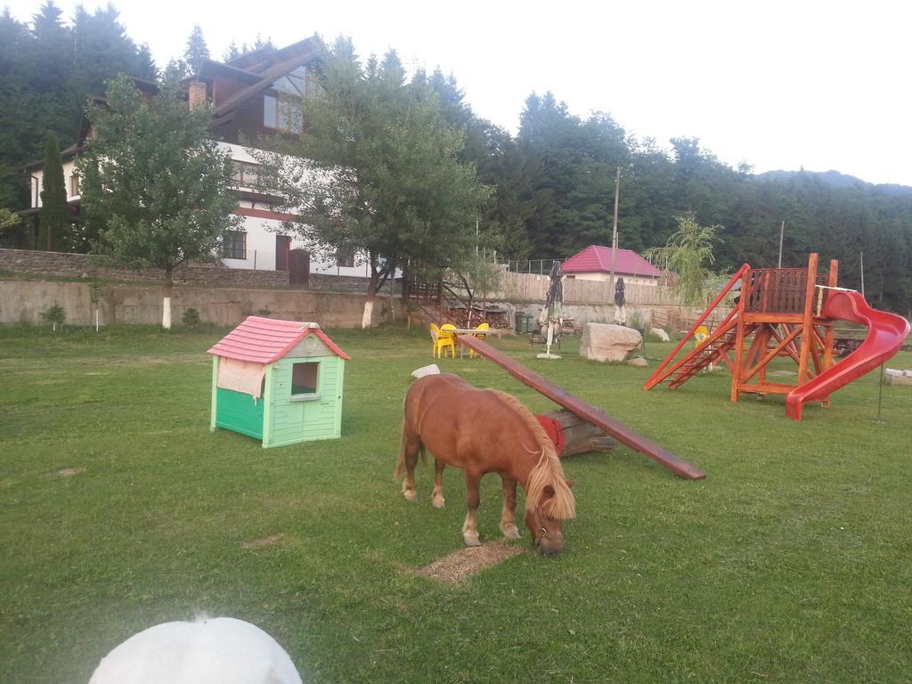 Pensiunea Trei Ponei Corbeni Exterior foto