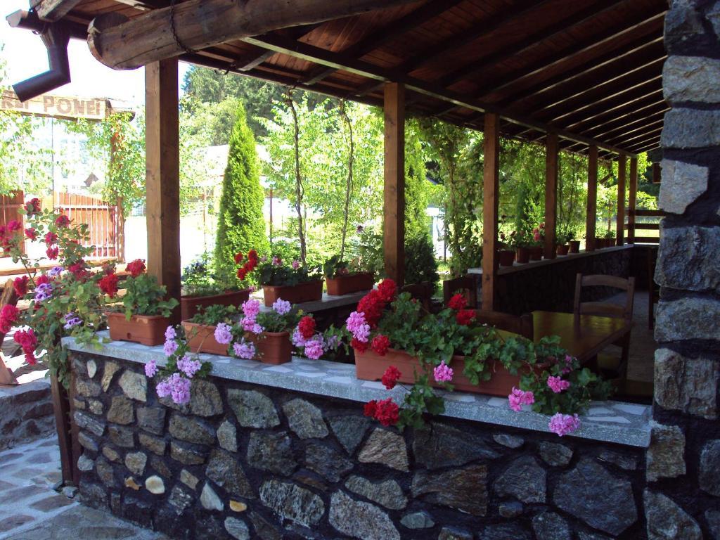Pensiunea Trei Ponei Corbeni Exterior foto