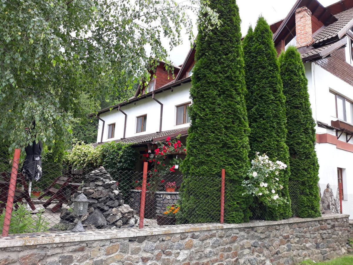 Pensiunea Trei Ponei Corbeni Exterior foto