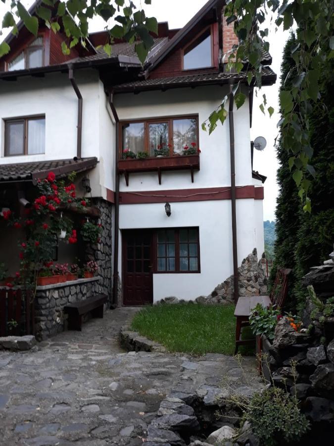 Pensiunea Trei Ponei Corbeni Exterior foto