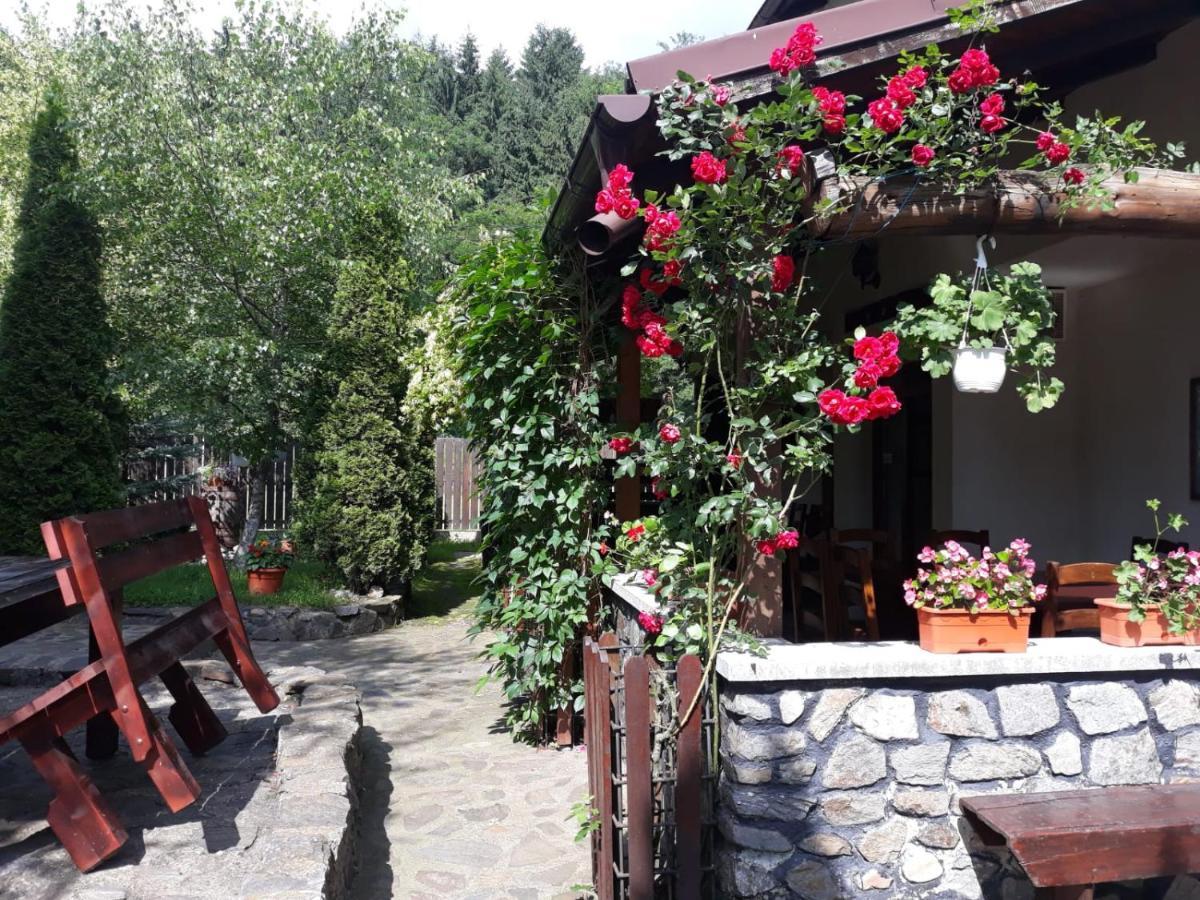 Pensiunea Trei Ponei Corbeni Exterior foto