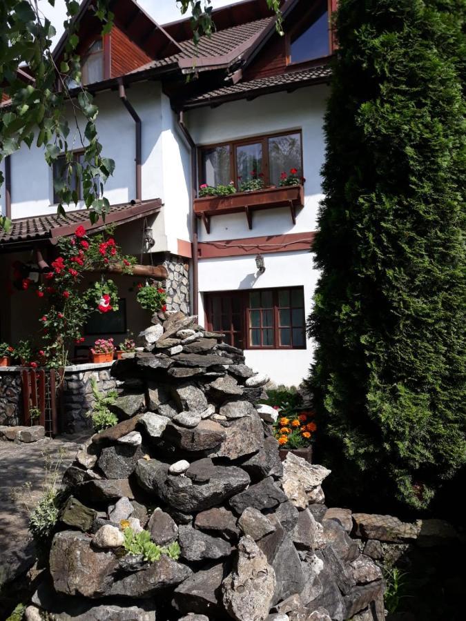 Pensiunea Trei Ponei Corbeni Exterior foto